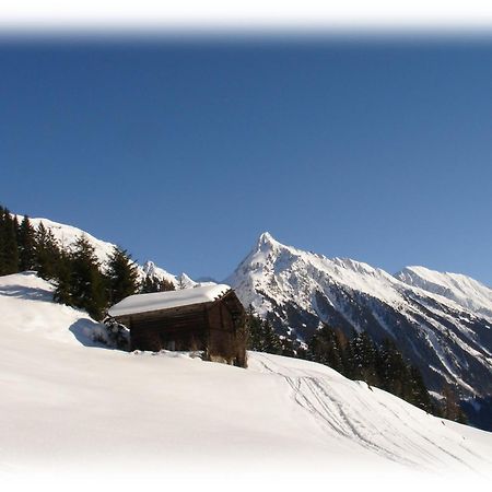 Ferienwohnungen Kroll - Appartements Viktoria Und Landhaus Maria Mayrhofen Exterior photo