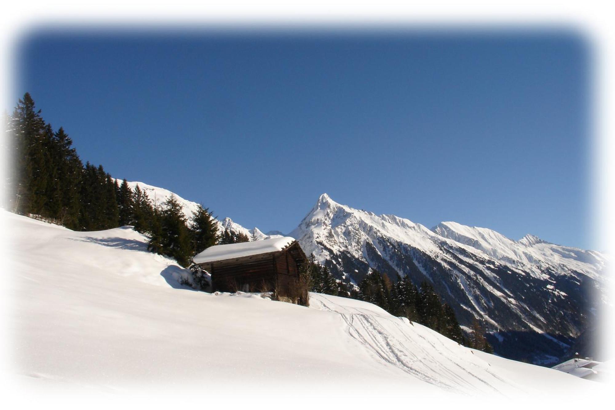 Ferienwohnungen Kroll - Appartements Viktoria Und Landhaus Maria Mayrhofen Exterior photo